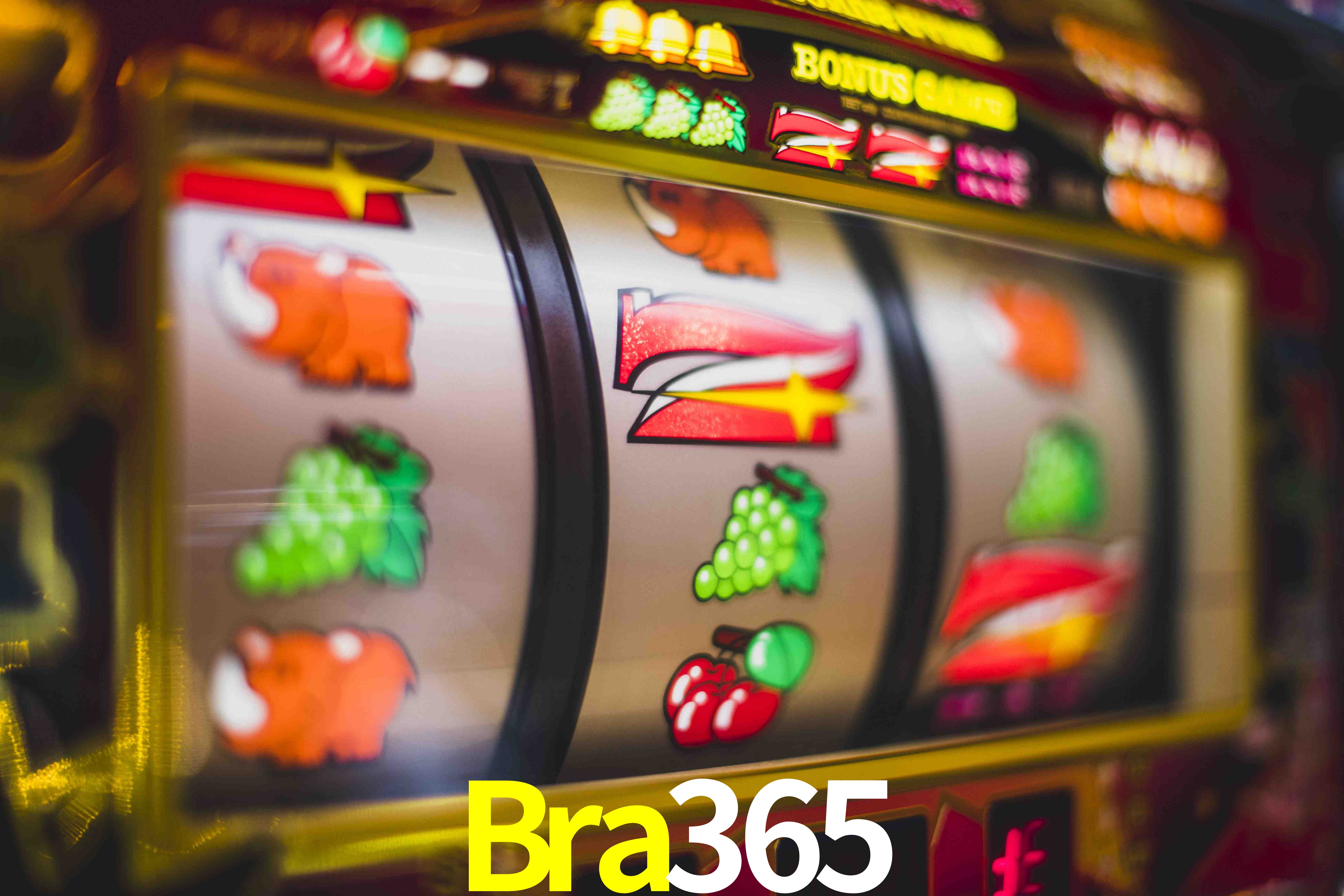 Statistics Bra365